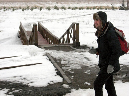 полярний птах