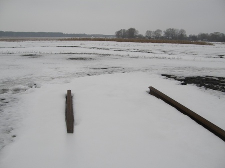 Похід на Крути