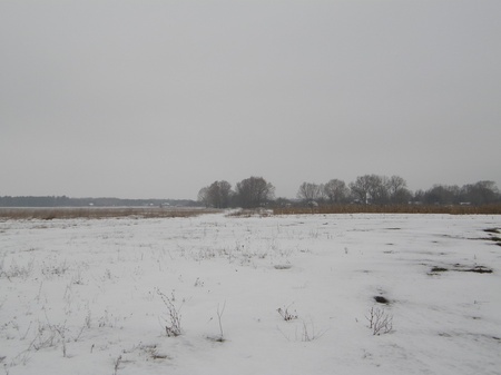 Похід на Крути