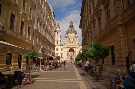 мавпи в європі